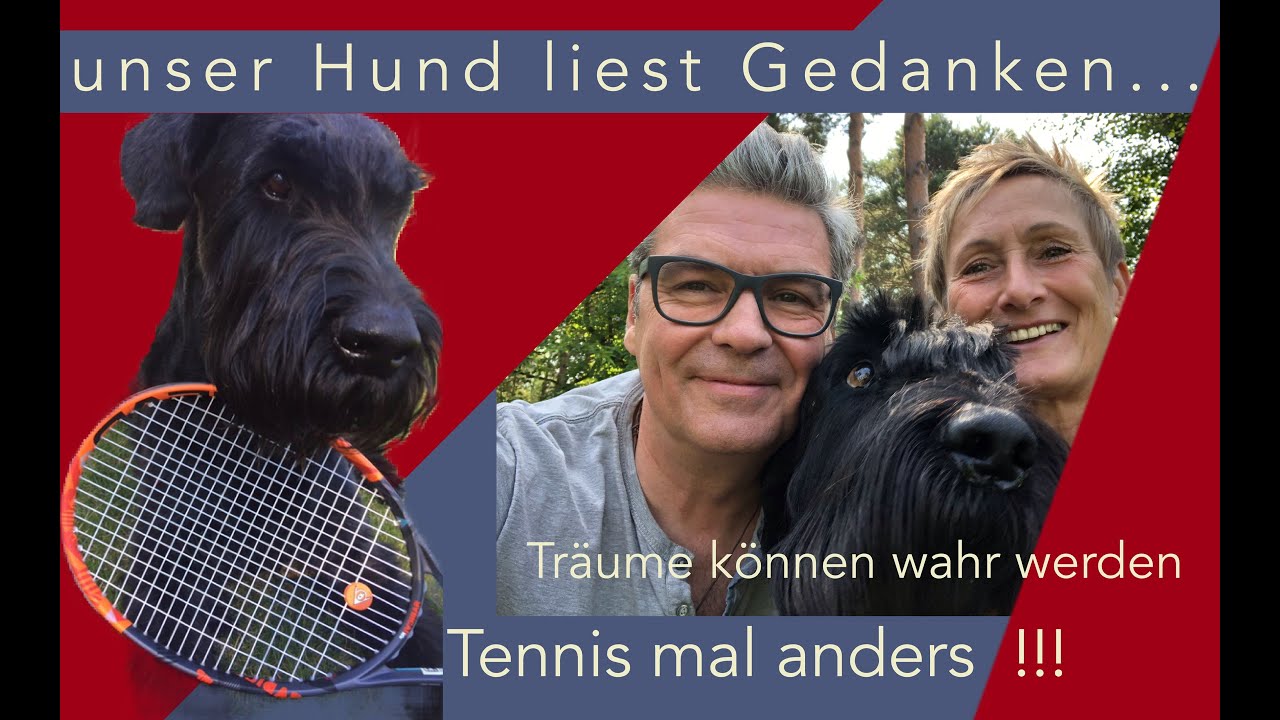 Unser Riesenschnauzer Zappa...
