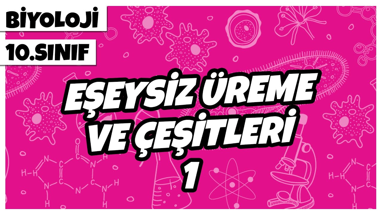 10. Sınıf Biyoloji - Eşeysiz Üreme ve Çeşitleri -1 | 2022