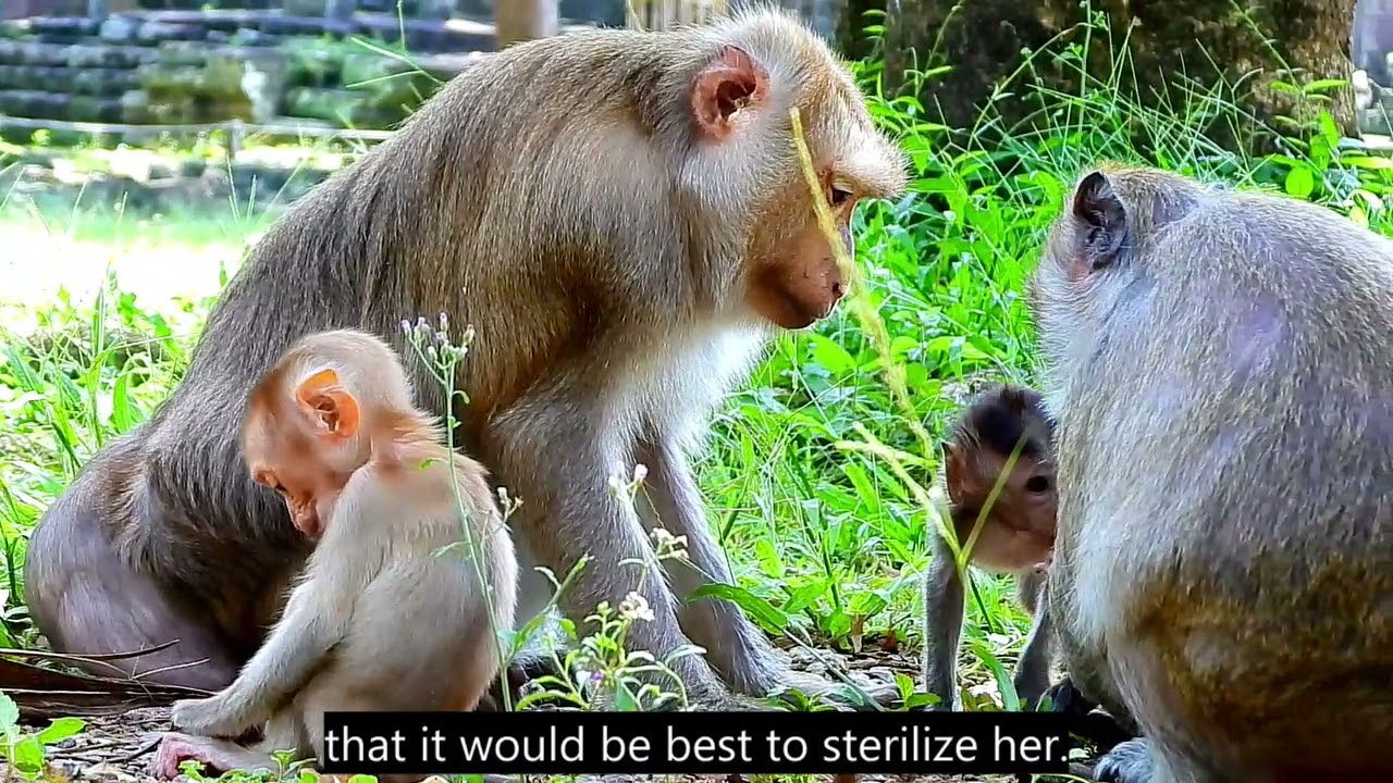 Ashley's history REVEALED!