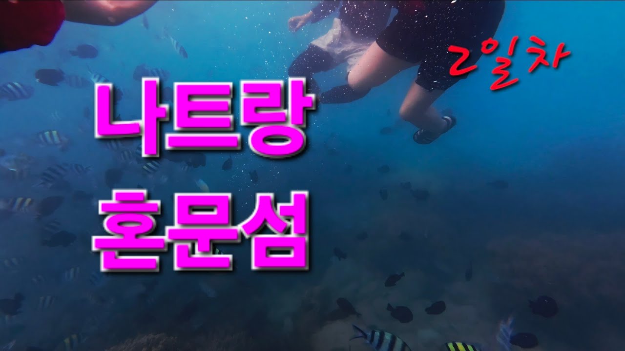 나트랑 2일차  혼문섬 (26.1.20)