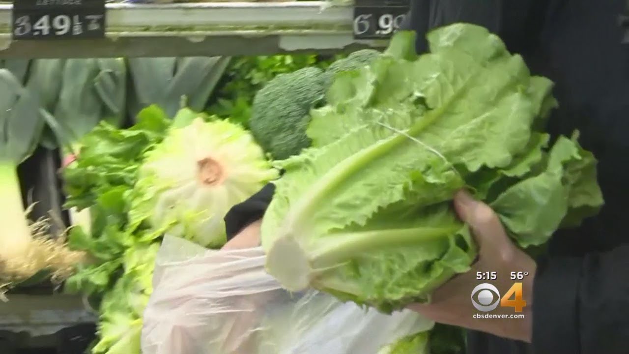 Deadly Outbreak Of E.coli Linked To Romaine