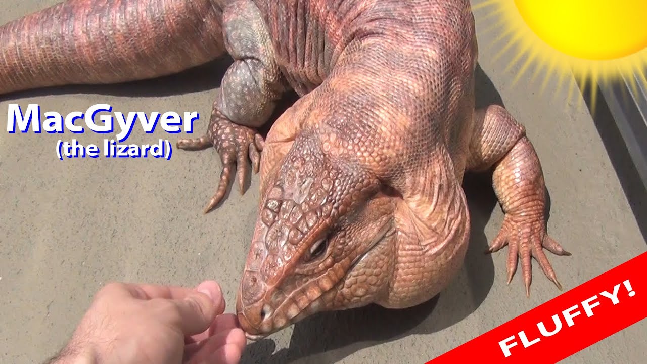 ☜ A day in the life of MacGyver