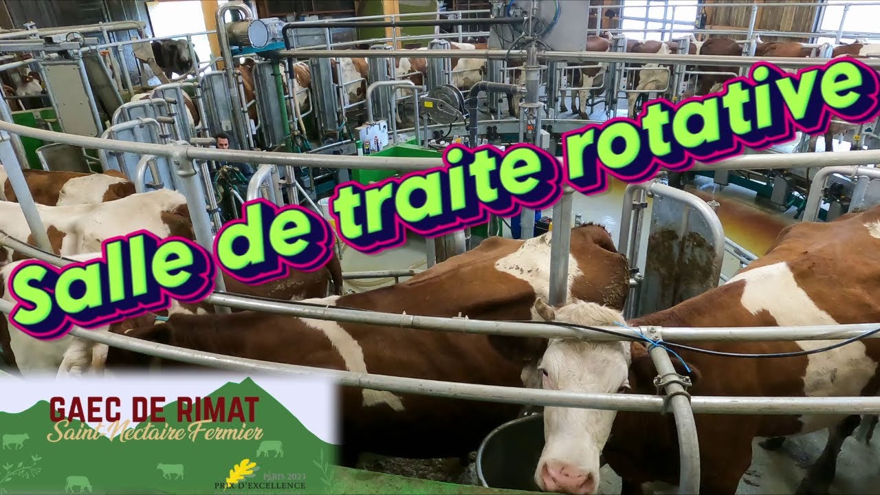 SALLE DE TRAITE ROTATIVE au GAEC de RIMAT à Chastreix (63)