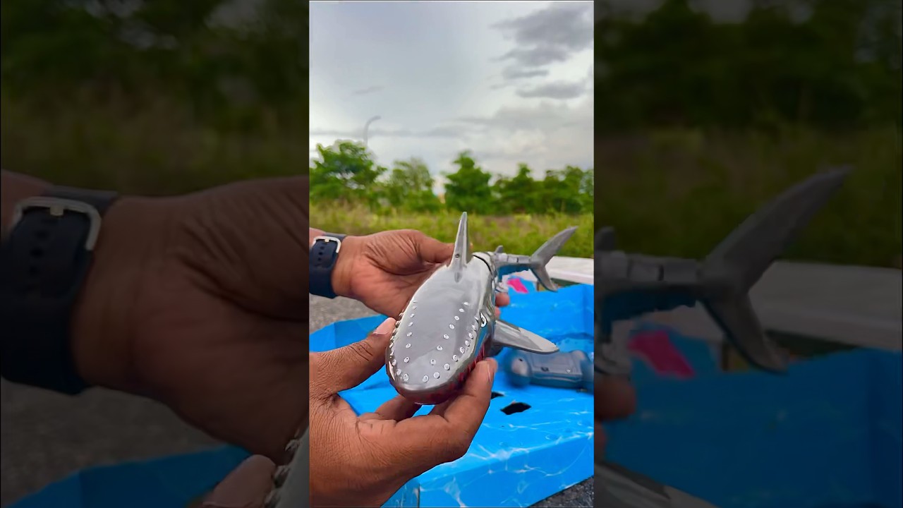 Remote Control Shark Unboxing & Testing