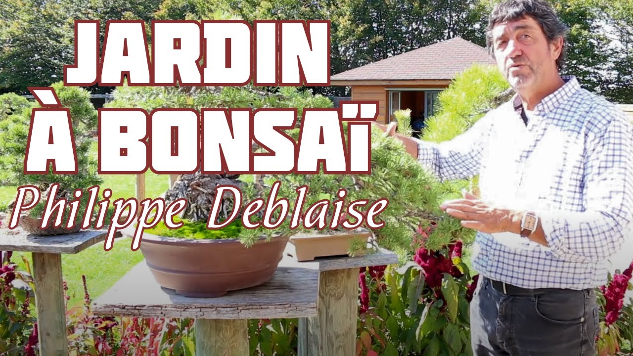 LE JARDIN DE PHILIPPE DEBLAISE  🌱 NEJIKAN BONSAI 🌱