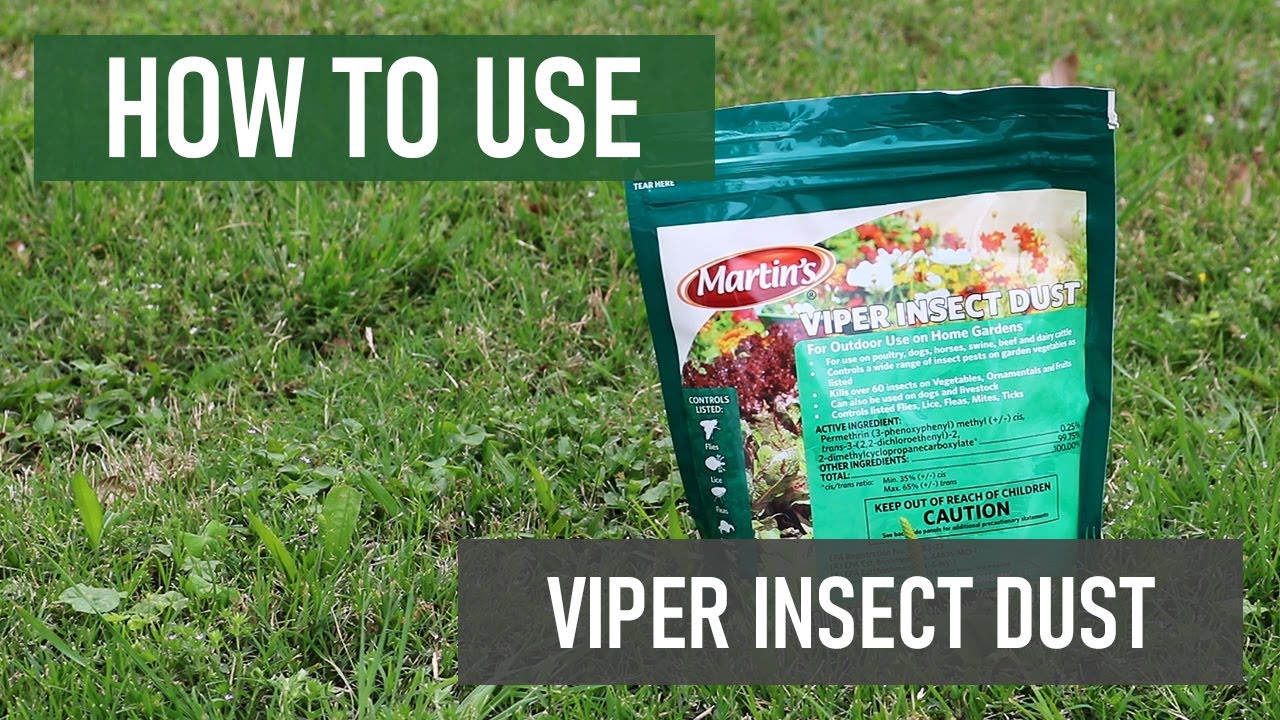 How to Use Viper Insect Dust to Kill Garden Pests!