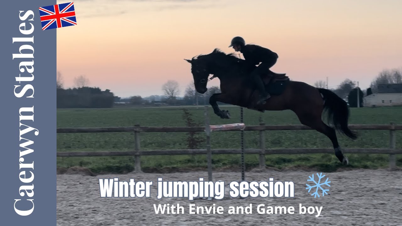 Winter training with my horses l Caerwyn Stables l English version