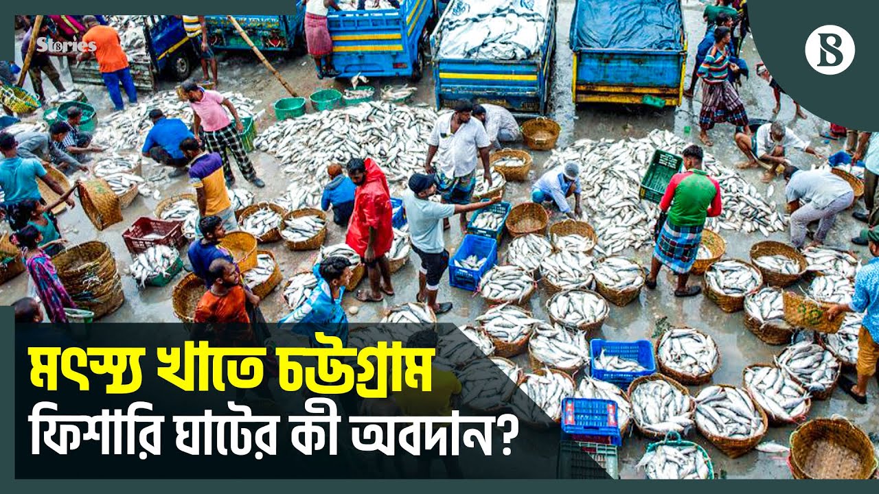 চট্টগ্রামের ফিশারি ঘাট: দেশের মাছ ব্যবসার প্রাণকেন্দ্র | Fishery Ghat | The Business Standard