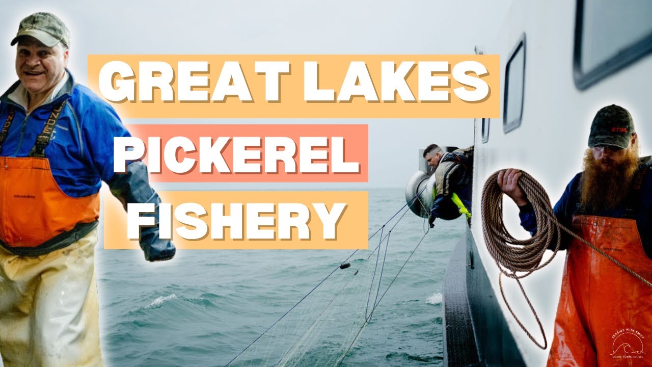 Discover the Great Lakes Pickerel Fishery | Commercial Fishing on Lake Erie