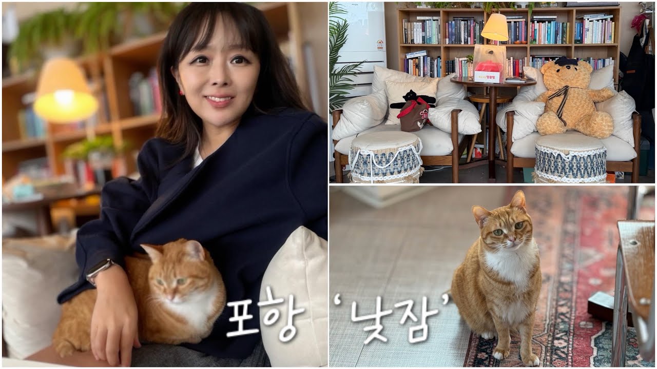260310_이런 개냥이 처음이야! 🐈🐈‍⬛ 포항 ‘낮잠’ 무인책방 밤에는 펍으로 변신, 세상귀여운 꼬설이와 보내는 하루 일상기록, 브이로그. 