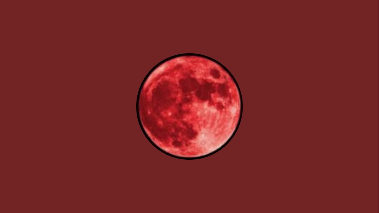 David USA 2 is live!