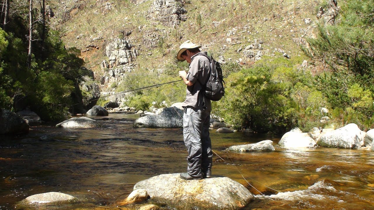 Fly fishing the Cape streams.