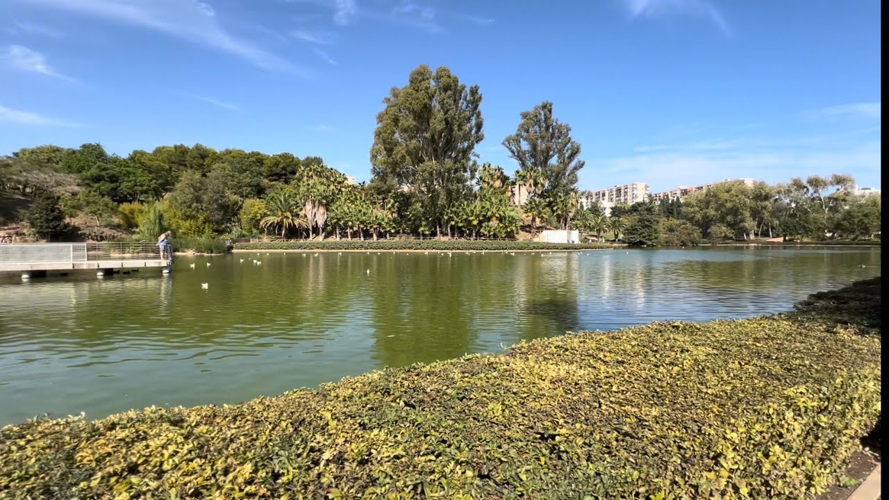 Exploring Benalmadena's Hidden Gem: Parque de la Paloma Adventure!