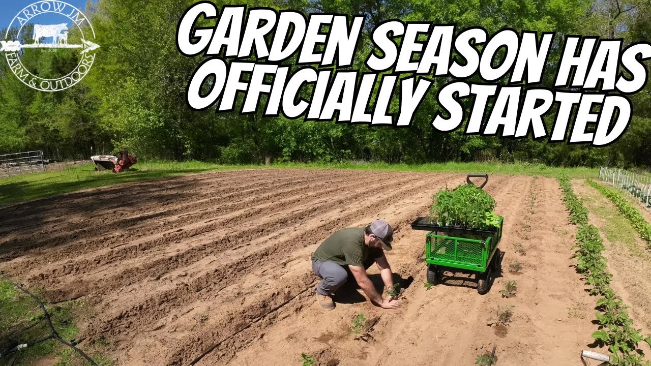 MUST-HAVE TOOLS: Troy-Bilt Tiller + Hoss Tools Wheel Hoe | Drip Irrigation 💦 | Planting Tomatoes 🍅