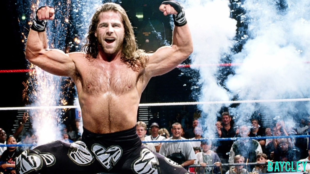 WWE: Shawn Michaels 