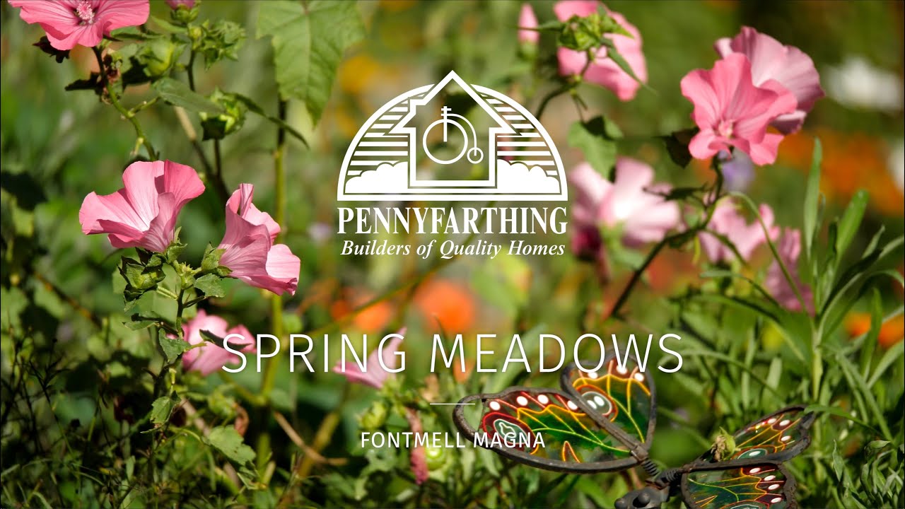 Spring Meadows, Fontmell Magna, Now Available