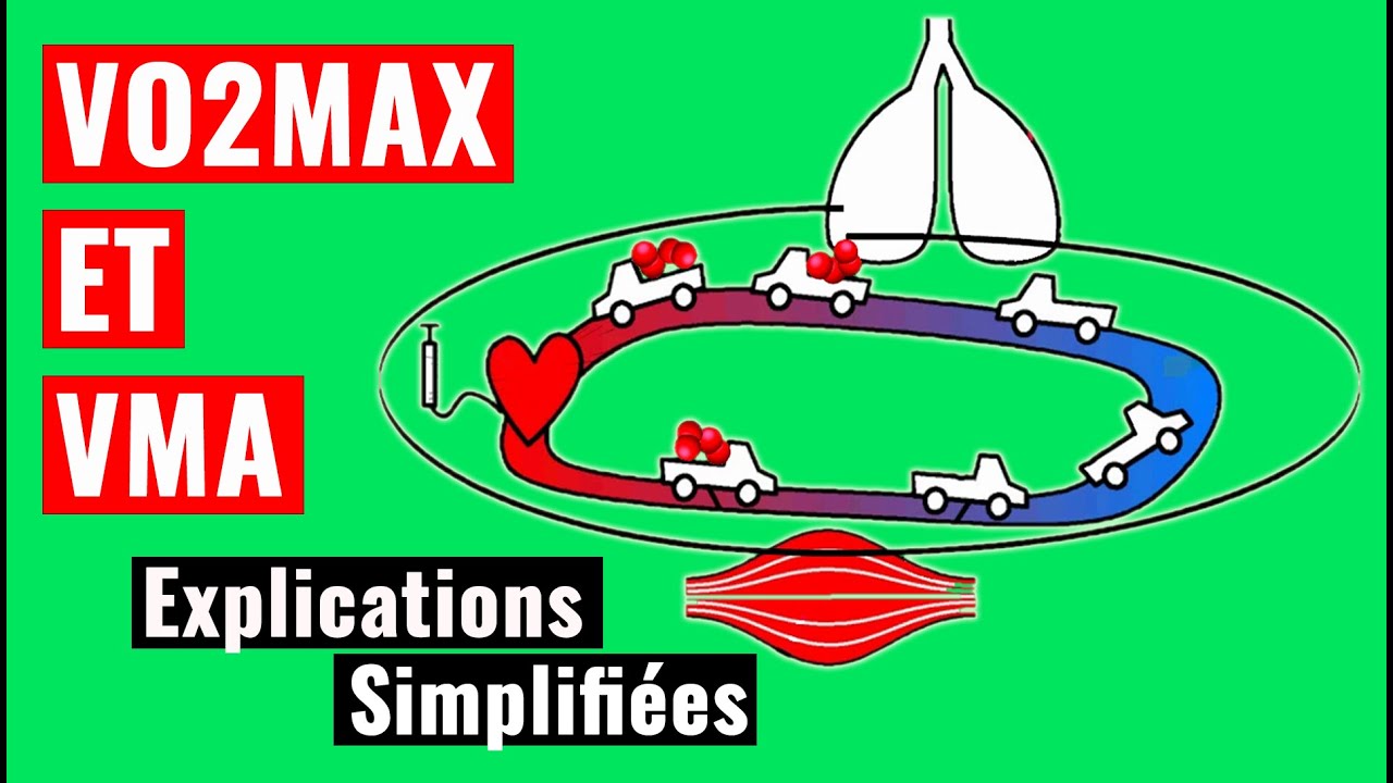 VMA and VO2MAX [EXPLANATIONS] 💚