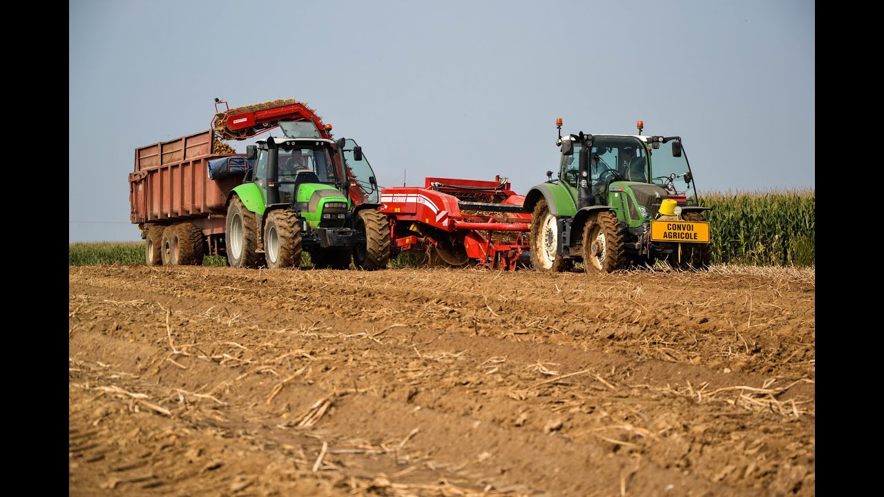 Arrachage des Pommes de terre 2014 en Normandie