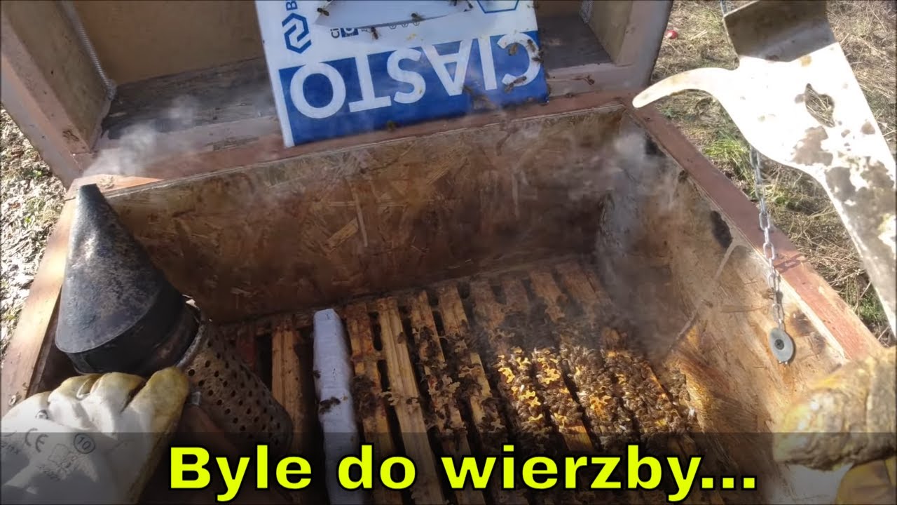Rodziny produkcyjne chciałyby się rozwijać lecz w przyrodzie nie ma pokarmu.