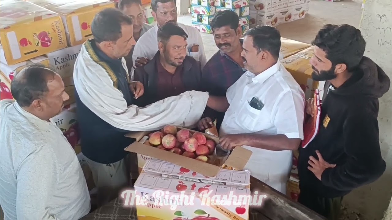 Today Market Of Kashmiri Apples At Pachara Fruit Mandi Pulwama 🍎👈