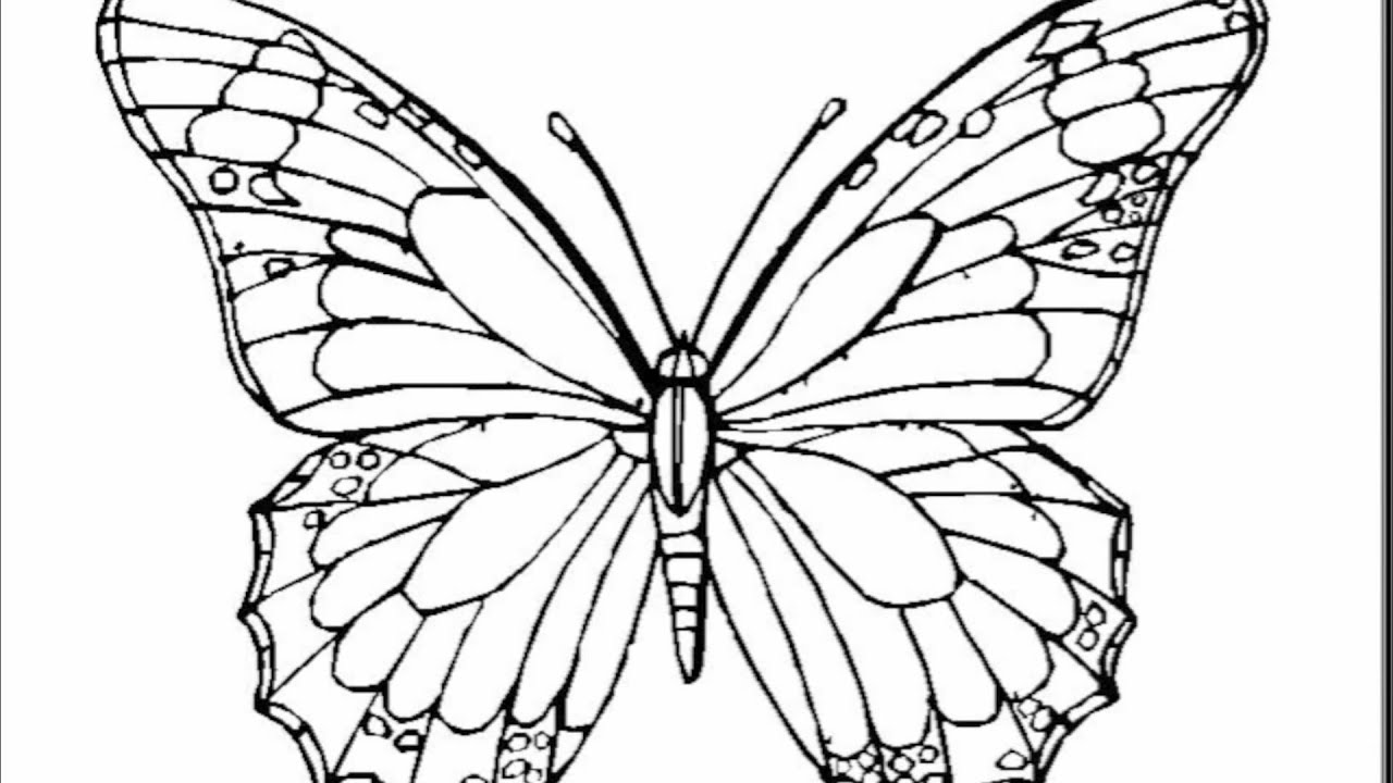 Lamea - Butterfly Blong Madang
