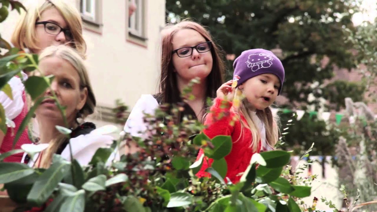 Mooswiesenfestzug Feuchtwangen 2015 - Mooswiese
