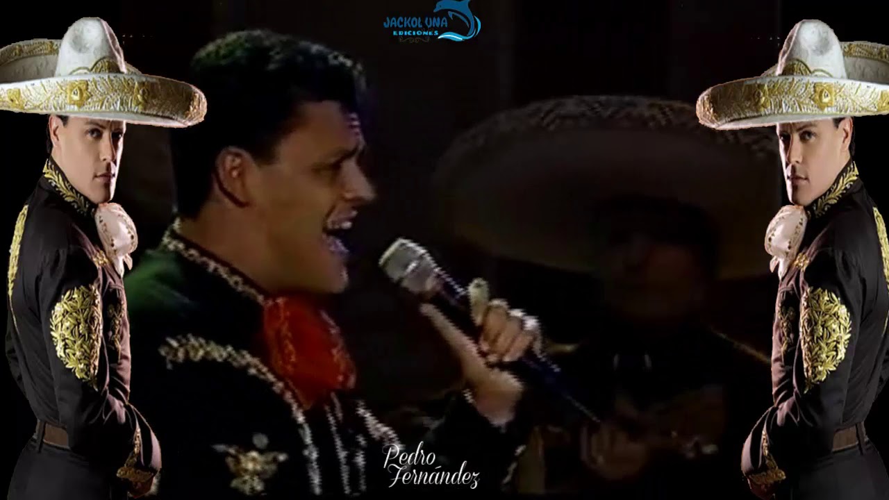 Pedro Fernandez SIn verte