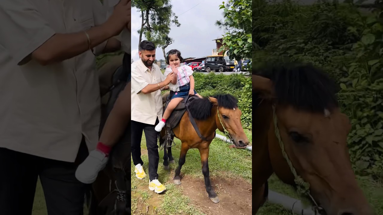 Anaya Ka Ghoda 🐎 Chala Tik Tik Tik ❤️😊