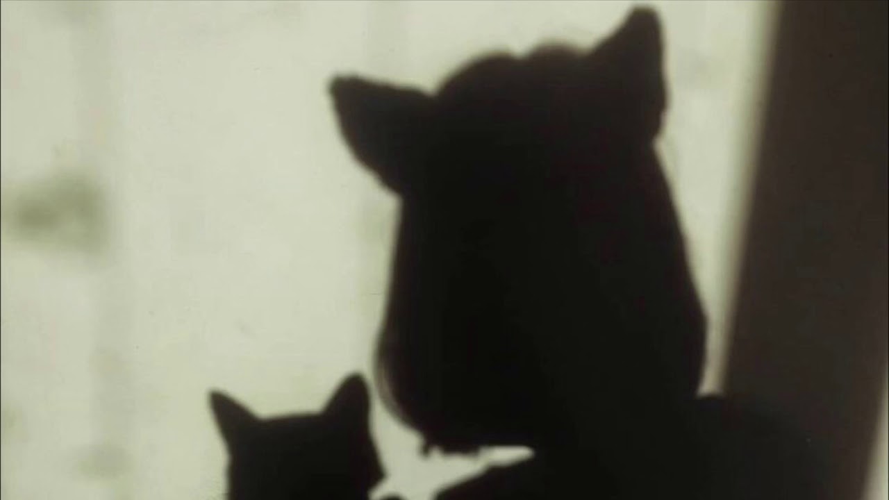 AOA- Like a cat (slowed down)