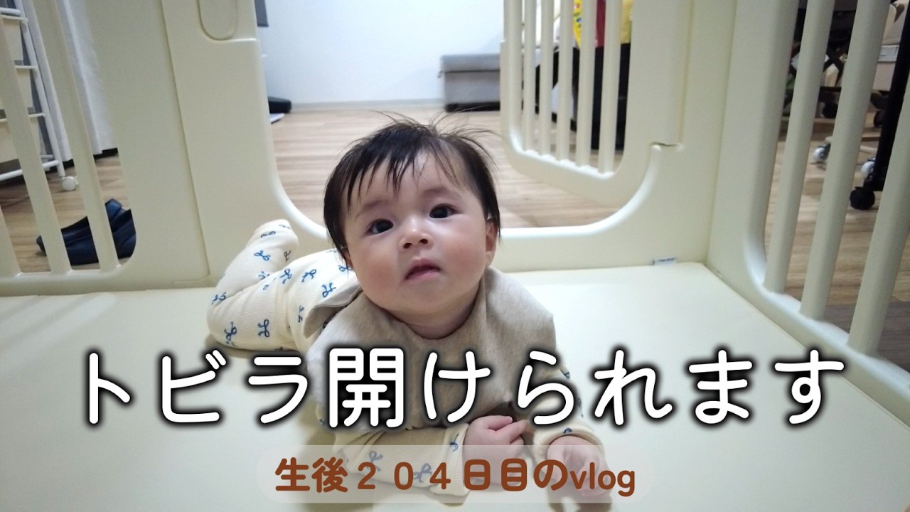 生後204日目 新しいおもちゃ｜里帰りなし,1LDK,完母育児,生後6ヶ月,vlog