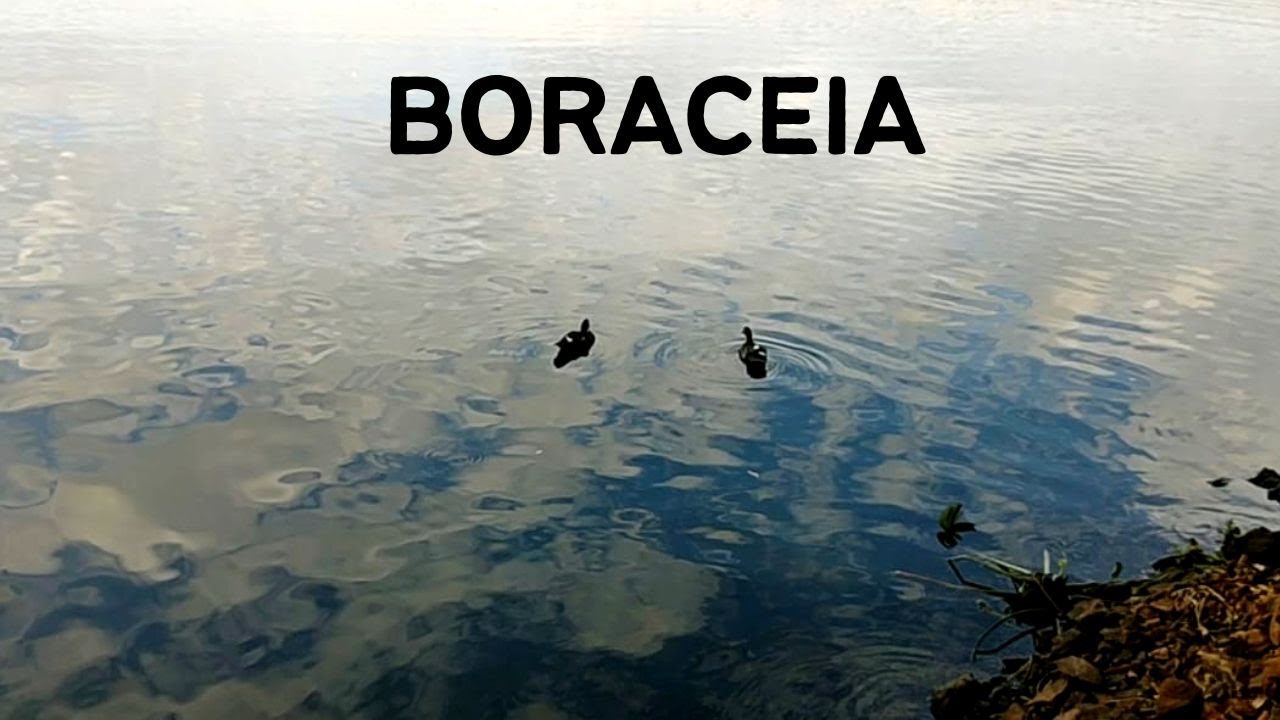 Boraceia SP - Passeio da Rota 408 pela cidade de Boraceia - 7&deg; Temp - Ep 21