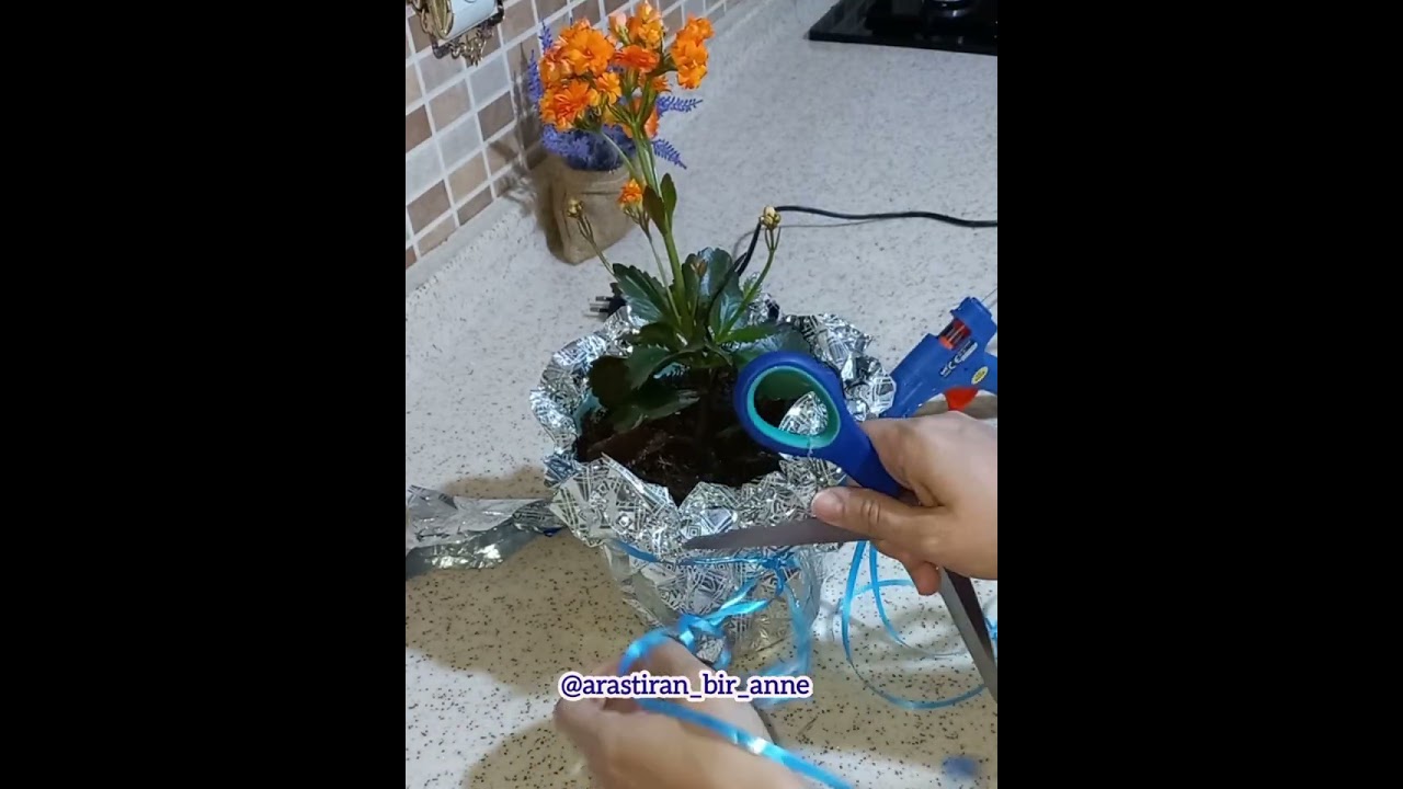 Saksı çiçeği nasıl süslenir? Çiçek süsleme çeşitler/ Упаковка горшечных растений /Gift wrapping