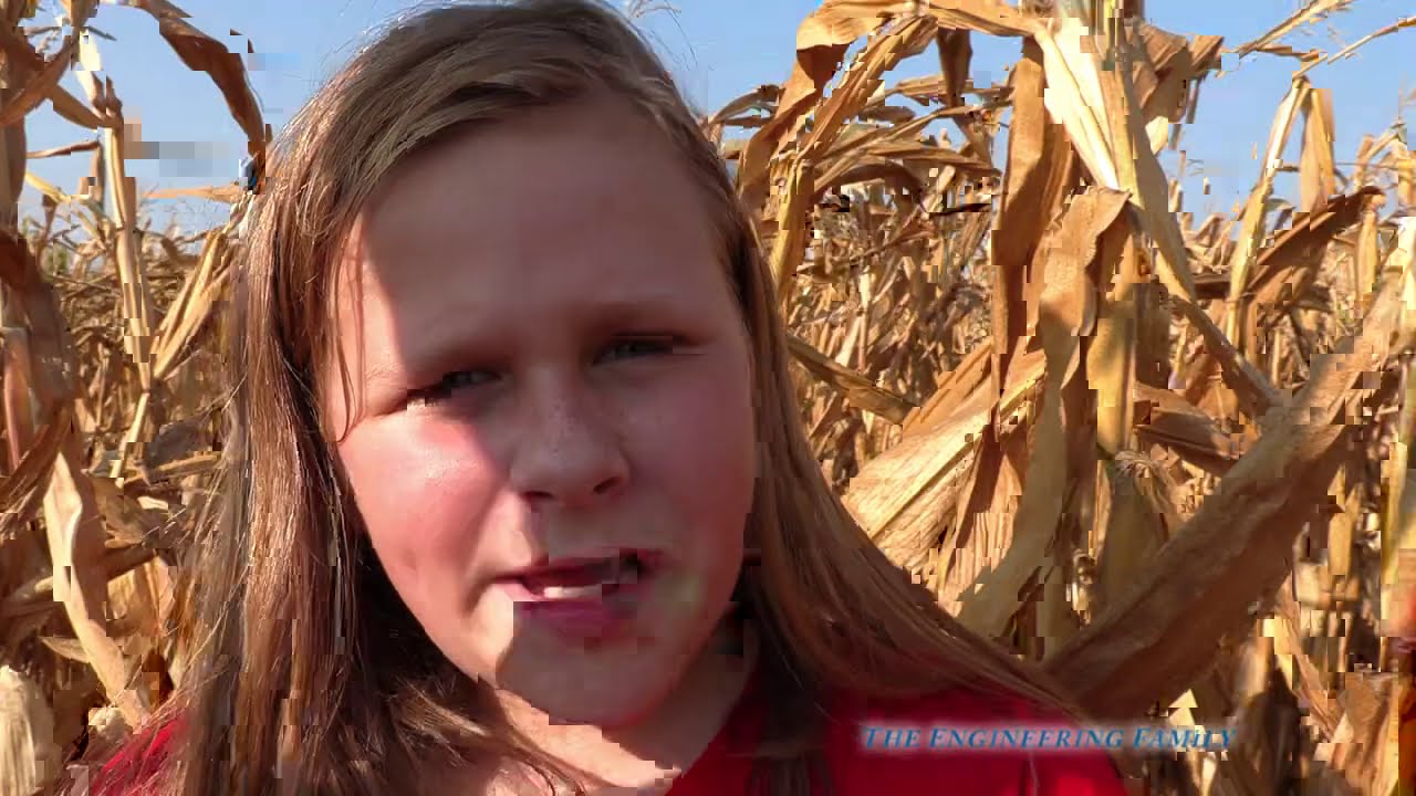 Assistant and Crooked Convicts Escape from Hello Neighbor in the Corn Maze