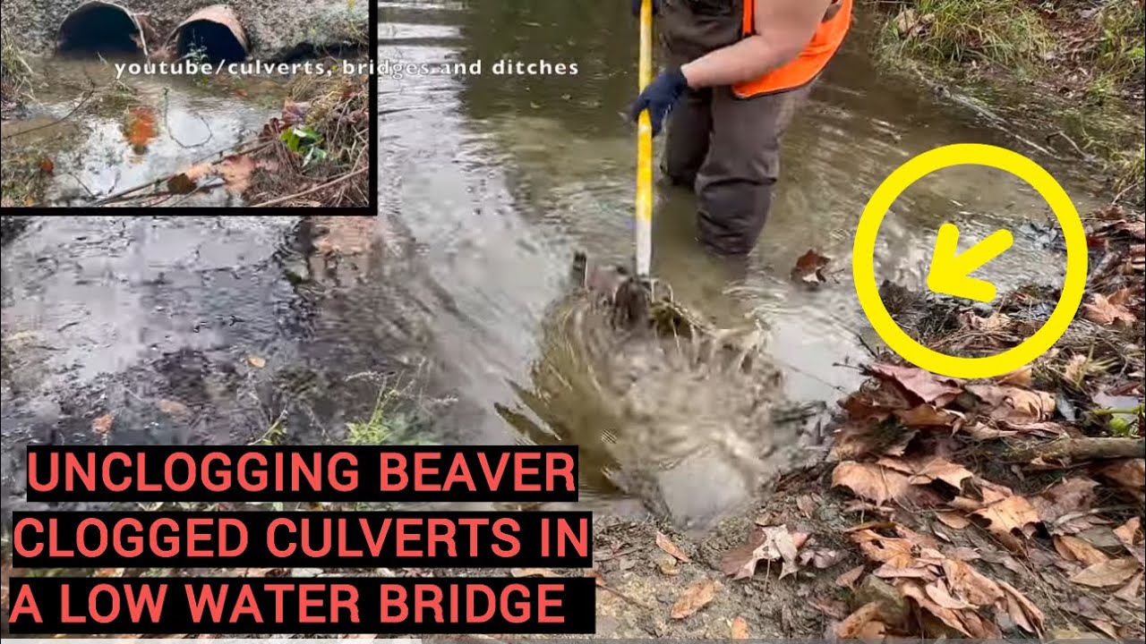 UNCLOGGING CULVERTS AFTER FLASH FLOOD WATERS! 11/2024 NT#57