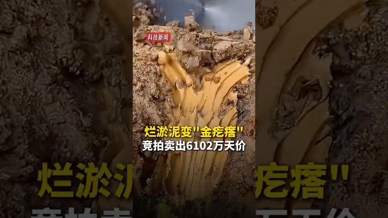 中国科技创新惊艳世界！EOD 模式让水库淤泥拍出6102万天价！