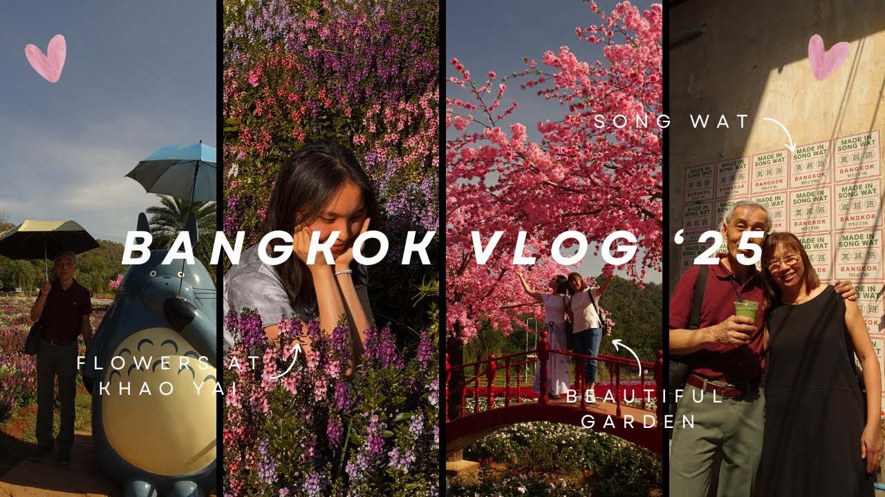 📹 travel vlog | sunny days in bangkok and khao yai ☀️❤️🌸