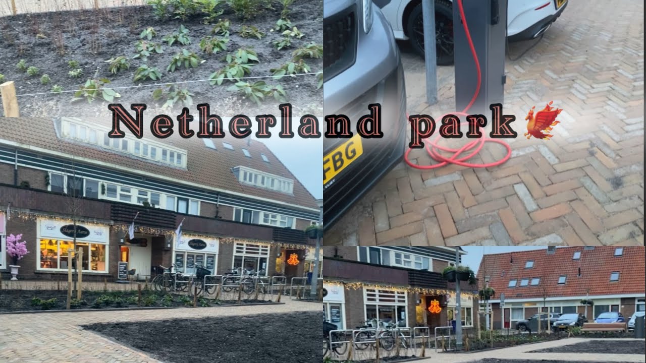 নেদারল্যান্ড 🇳🇱 পার্কে ঘুরাগুড়ি করলাম সাথে খাওয়া দাওয়া🍧🍏🍌