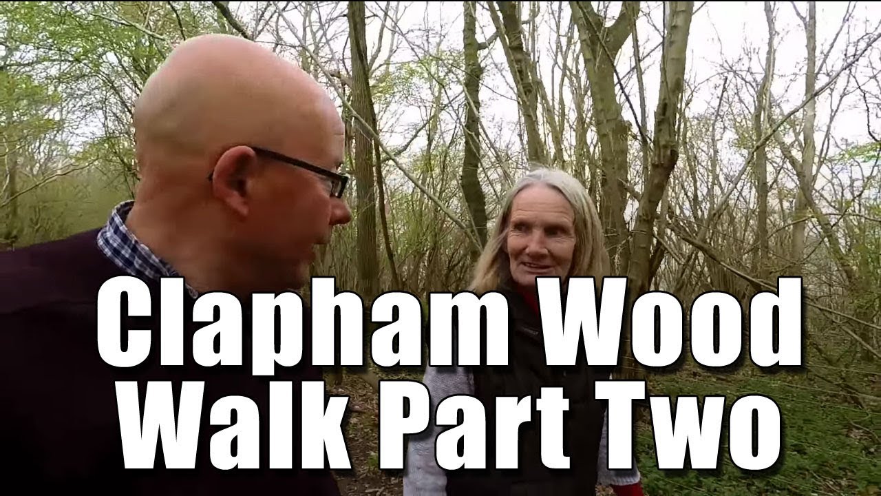 Clapham Wood Exploration  Part Two