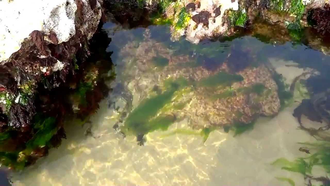 White Rocks Beach 2013 HD