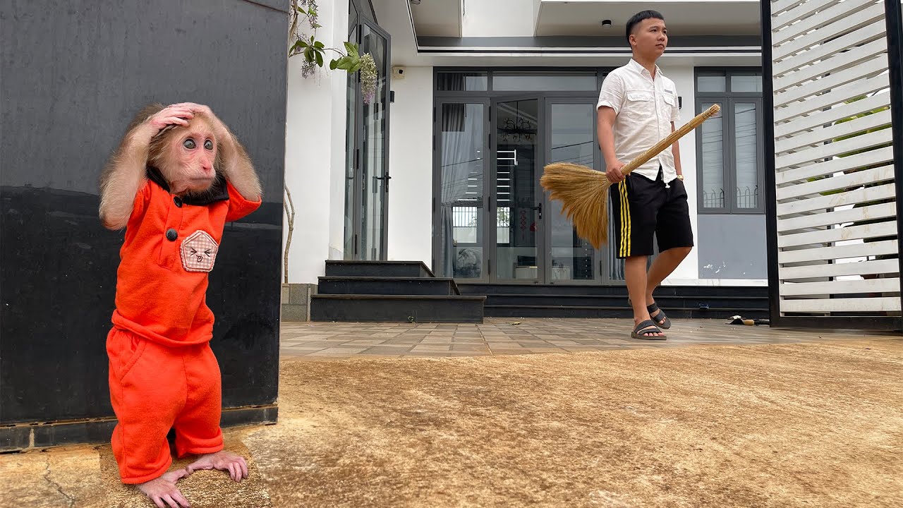 Cubis the Monkey Fears Dad's Punishment!