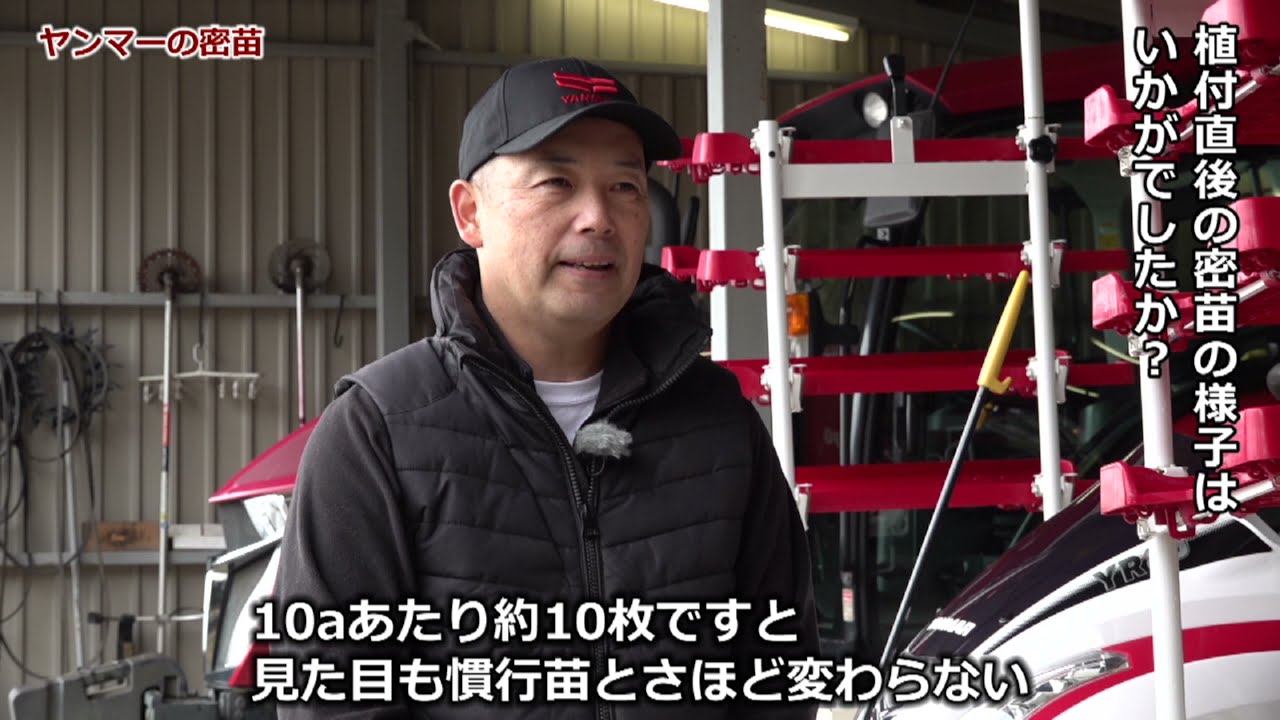 密苗　お客様導入事例　(千葉県　有限会社沼南ファーム　橋本様)