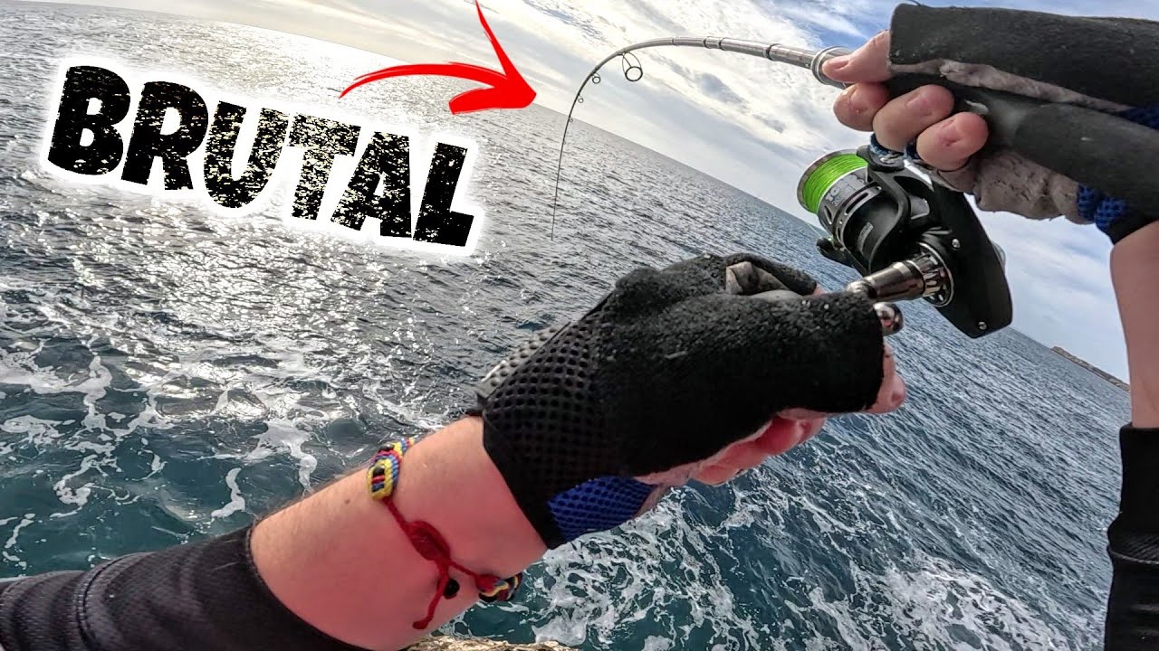 PESCANDO SERVIOLAS en OTOÑO a SPINNING desde costa ¡YA SON GRANDES!