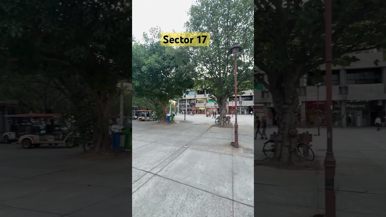 Sector 17 chd 