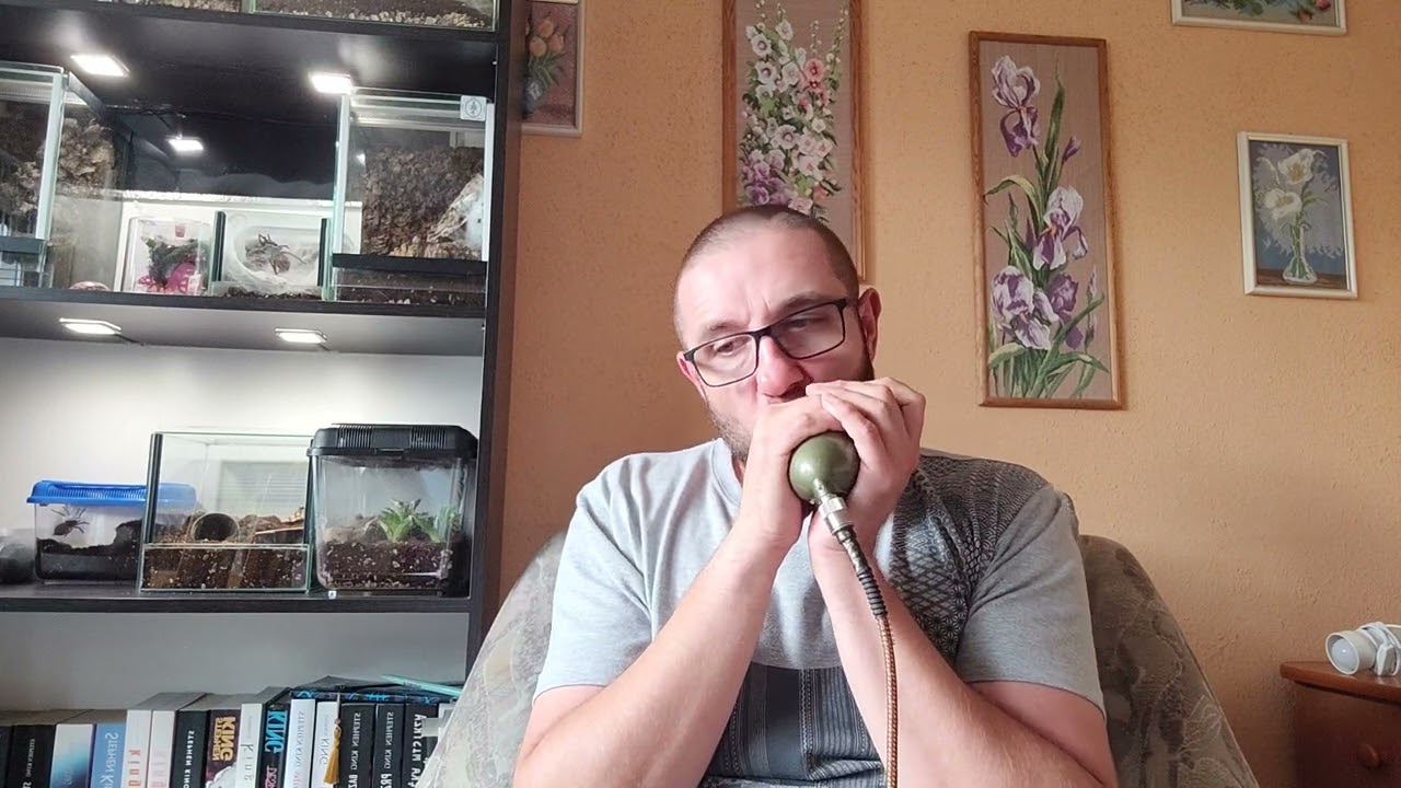 Lowdown (Kim Wilson's cover)