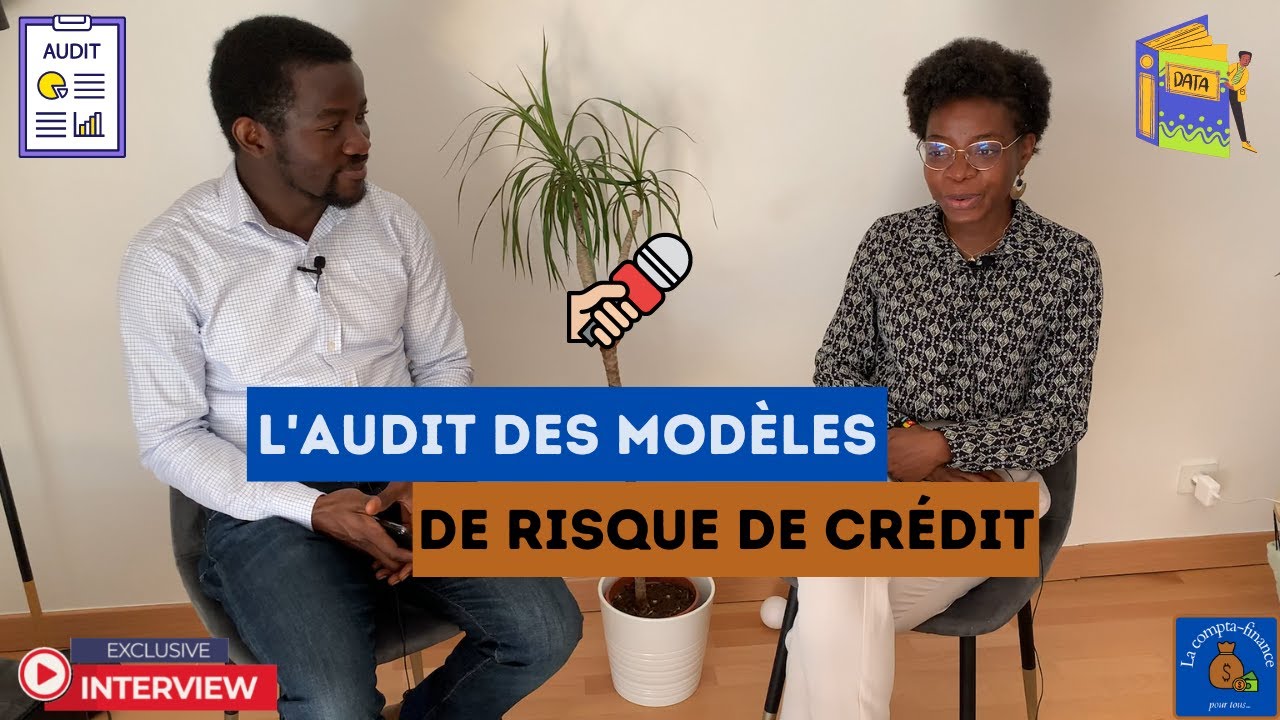 Model Risk Manager ou l'AUDIT des modèles de risque de crédit
