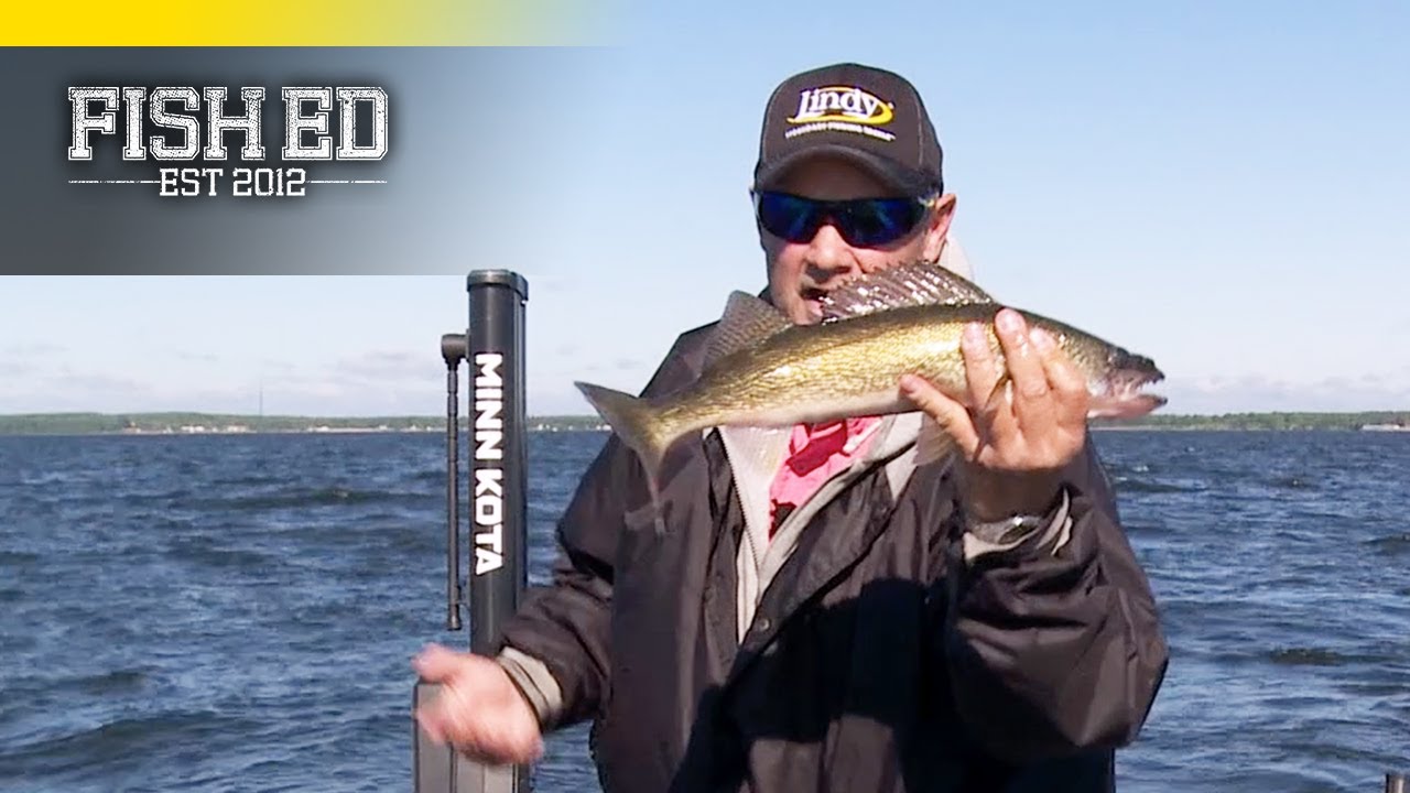 Fish Ed | Early Summer Crankin'