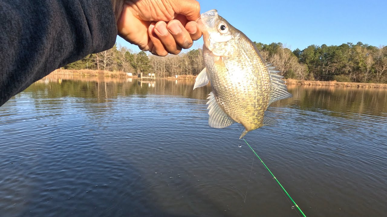 Cold weather crappie fishing was hot today! @thehookofdaniel 