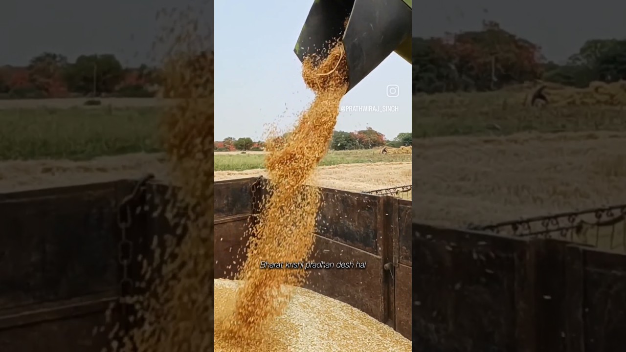 India Imports 70% of This? | #entrepreneurship #india #africa #import #agriculture