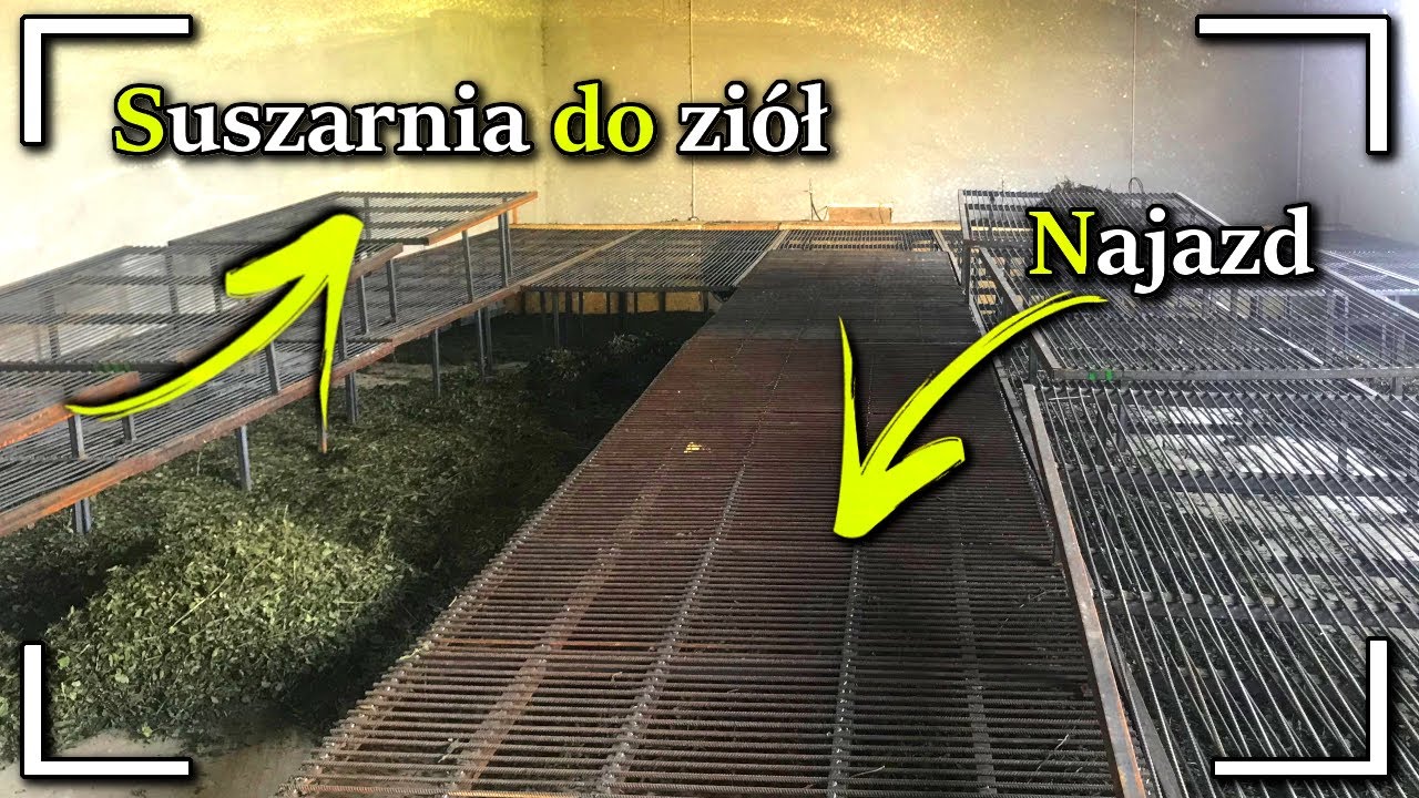 JAK SUSZYMY ZIOŁA | NASZA NAJWIĘKSZA SUSZARNIA DO ZIÓŁ