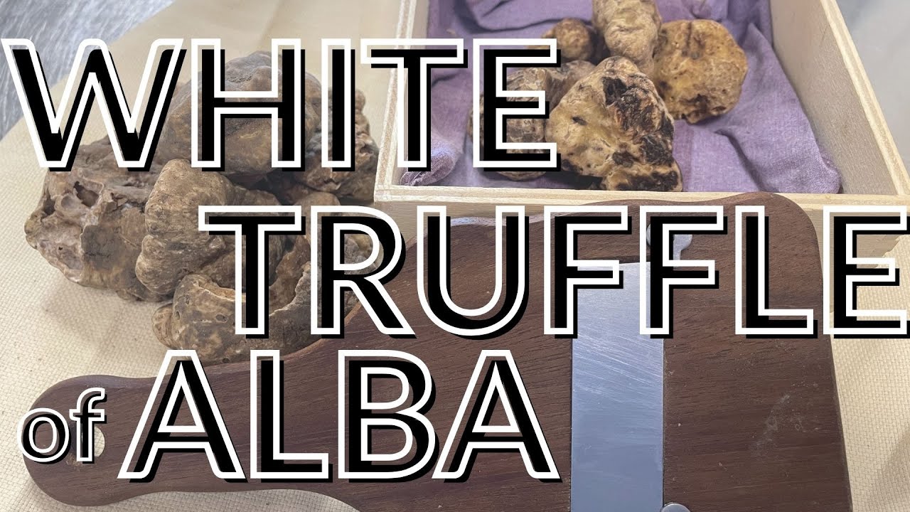 WINE + White TRUFFLES: Learn the Basics!